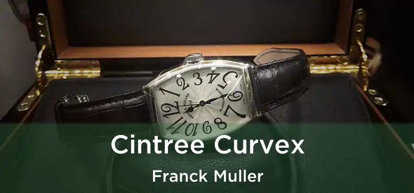 Cintree Curvex Franck Muller